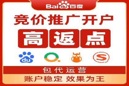 案例分享：竞价代运营助力企业增长